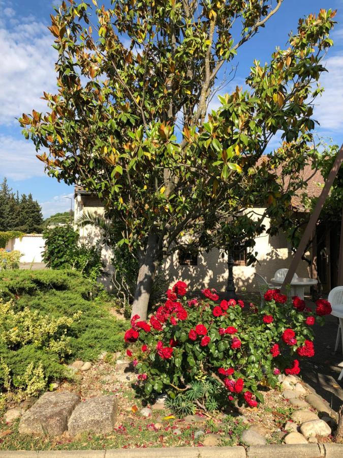 Hotel Cristol Avignon Exterior photo